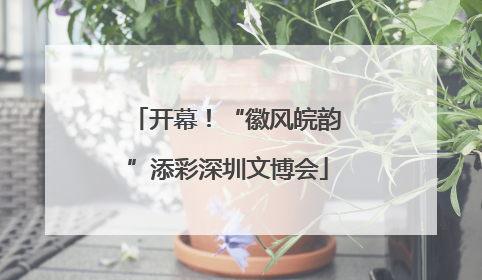 开幕！“徽风皖韵”添彩深圳文博会