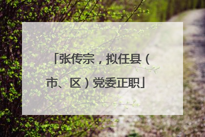 张传宗，拟任县（市、区）党委正职