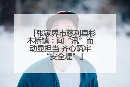 张家界市慈利县杉木桥镇：闻“汛”而动显担当 齐心筑牢“安全堤”