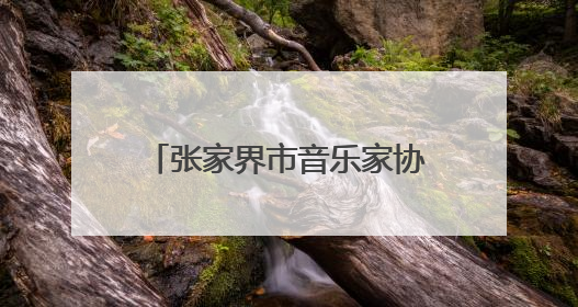 张家界市音乐家协会召开第五次代表大会 胡情当选市音乐家协会主席