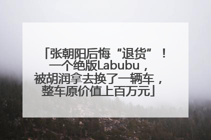 张朝阳后悔“退货”！一个绝版Labubu，被胡润拿去换了一辆车，整车原价值上百万元