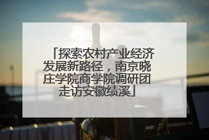 探索农村产业经济发展新路径，南京晓庄学院商学院调研团走访安徽绩溪