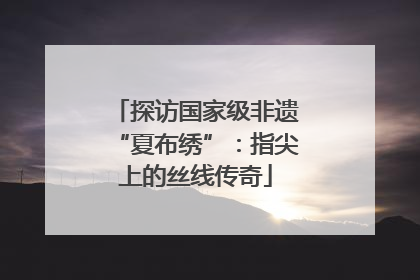 探访国家级非遗“夏布绣”：指尖上的丝线传奇