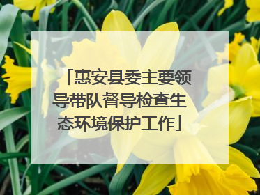 惠安县委主要领导带队督导检查生态环境保护工作
