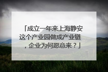 成立一年来上海静安这个产业园做成产业链，企业为何愿意来？