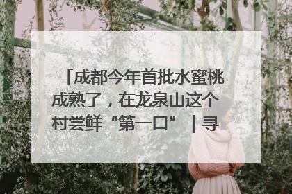 成都今年首批水蜜桃成熟了，在龙泉山这个村尝鲜“第一口”｜寻找和美乡村推荐官