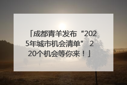 成都青羊发布“2025年城市机会清单” 220个机会等你来！