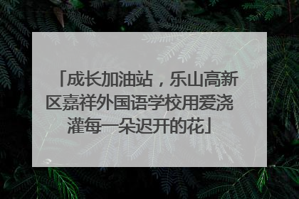 成长加油站，乐山高新区嘉祥外国语学校用爱浇灌每一朵迟开的花