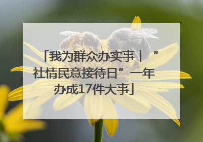 我为群众办实事丨“社情民意接待日”一年办成17件大事