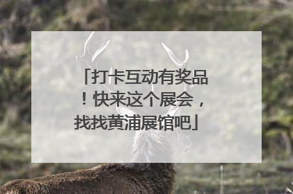 打卡互动有奖品！快来这个展会，找找黄浦展馆吧