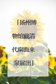 扬州博物馆藏清代扇面来泉展出