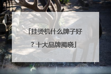 挂烫机什么牌子好？十大品牌揭晓