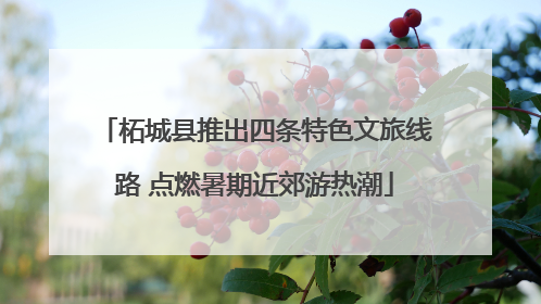 柘城县推出四条特色文旅线路 点燃暑期近郊游热潮