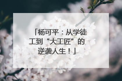 杨可平：从学徒工到“大工匠”的逆袭人生！
