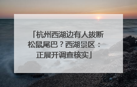 杭州西湖边有人拔断松鼠尾巴？西湖景区：正展开调查核实