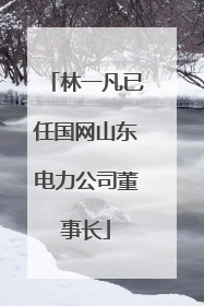 林一凡已任国网山东电力公司董事长