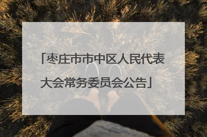 枣庄市市中区人民代表大会常务委员会公告