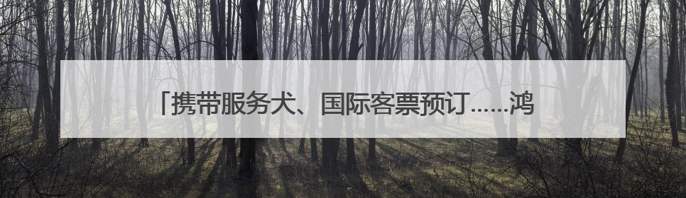 携带服务犬、国际客票预订……鸿蒙版中国国航让更多用户心愿成真