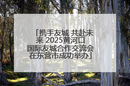 携手友城 共赴未来 2025黄河口国际友城合作交流会在东营市成功举办