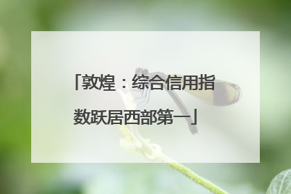 敦煌：综合信用指数跃居西部第一