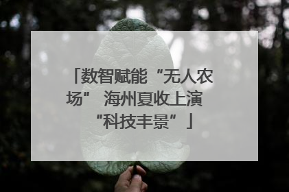 数智赋能“无人农场” 海州夏收上演“科技丰景”