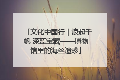 文化中国行｜浪起千帆 深蓝宝藏——博物馆里的海丝遗珍