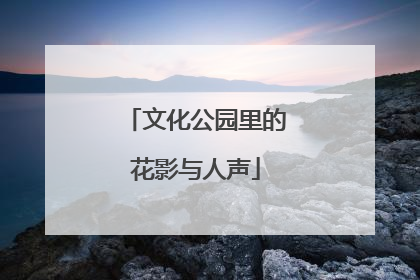 文化公园里的花影与人声