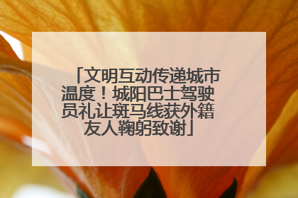文明互动传递城市温度！城阳巴士驾驶员礼让斑马线获外籍友人鞠躬致谢