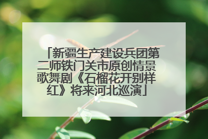 新疆生产建设兵团第二师铁门关市原创情景歌舞剧《石榴花开别样红》将来河北巡演