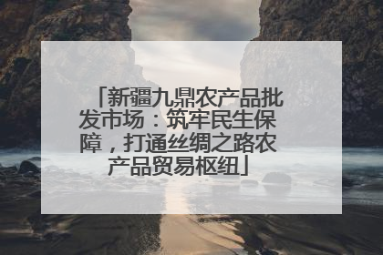 新疆九鼎农产品批发市场：筑牢民生保障，打通丝绸之路农产品贸易枢纽