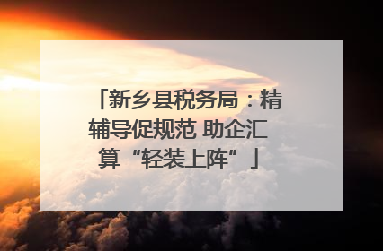 新乡县税务局：精辅导促规范 助企汇算“轻装上阵”