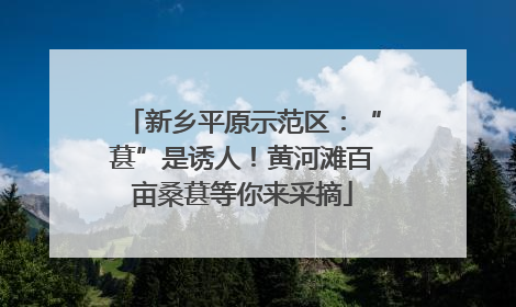 新乡平原示范区：“葚”是诱人！黄河滩百亩桑葚等你来采摘