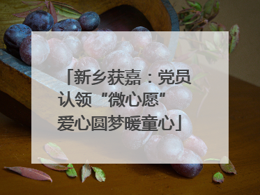 新乡获嘉：党员认领“微心愿” 爱心圆梦暖童心