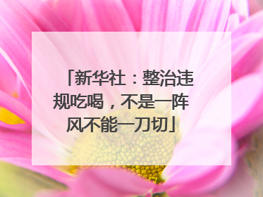 新华社：整治违规吃喝，不是一阵风不能一刀切