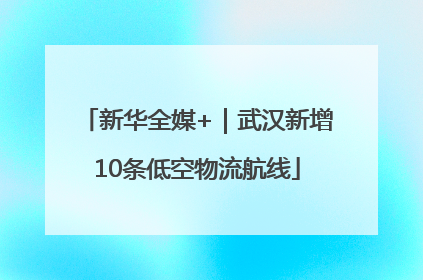 新华全媒+｜武汉新增10条低空物流航线