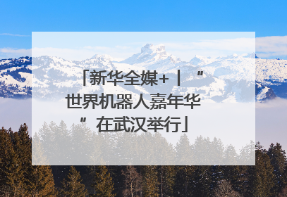 新华全媒+丨“世界机器人嘉年华”在武汉举行