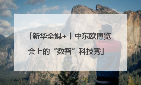 新华全媒+丨中东欧博览会上的“数智”科技秀