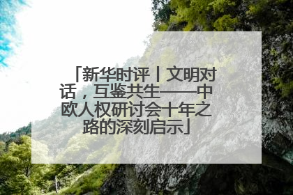 新华时评丨文明对话，互鉴共生——中欧人权研讨会十年之路的深刻启示