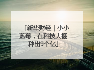 新华财经｜小小蓝莓，在科技大棚种出9个亿