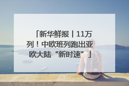 新华鲜报丨11万列！中欧班列跑出亚欧大陆“新时速”