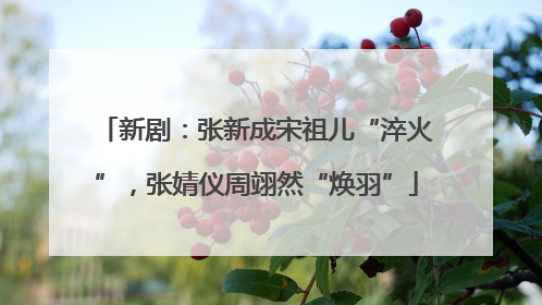 新剧：张新成宋祖儿“淬火”，张婧仪周翊然“焕羽”