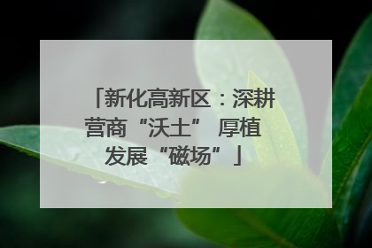 新化高新区：深耕营商“沃土” 厚植发展“磁场”