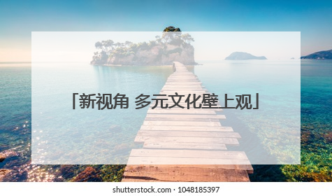 新视角 多元文化壁上观