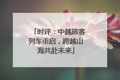 时评：中越旅客列车重启，跨越山海共赴未来