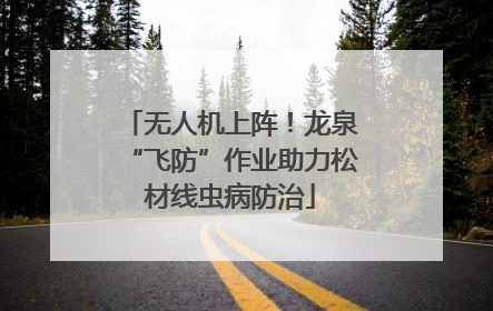 无人机上阵！龙泉“飞防”作业助力松材线虫病防治