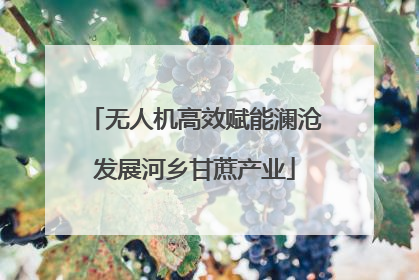 无人机高效赋能澜沧发展河乡甘蔗产业