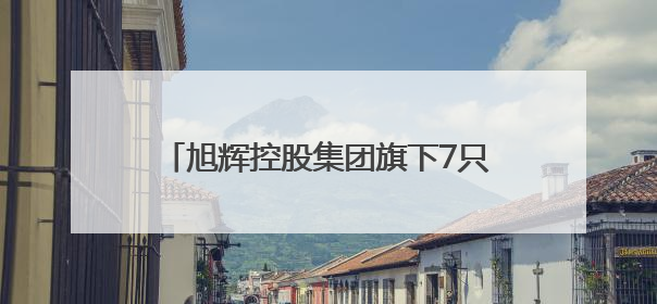 旭辉控股集团旗下7只公司债自6月3日起停牌，本金额超100亿元