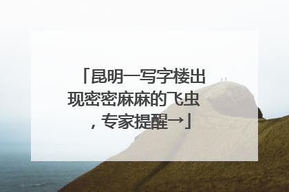 昆明一写字楼出现密密麻麻的飞虫，专家提醒→