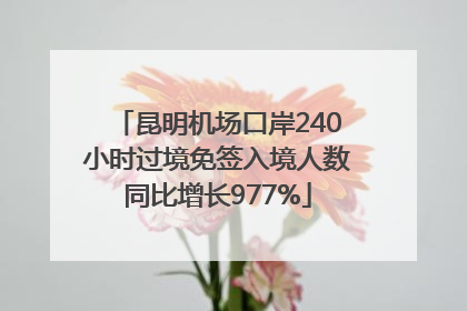 昆明机场口岸240小时过境免签入境人数同比增长977%