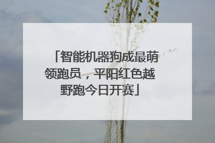 智能机器狗成最萌领跑员，平阳红色越野跑今日开赛